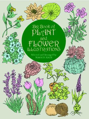cover image of Big Book of Plant and Flower Illustrations